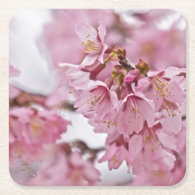 Dessous De Verre Carré Sakura Cherry Blossoms rose pâle (Devant)