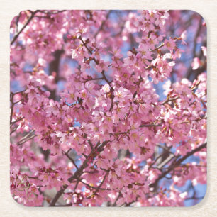 Dessous De Verre Carré Sakura Pink Cherry Blossom Sky