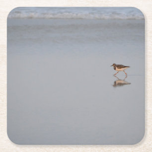 Dessous De Verre Carré Sandpiper Bird Beach Nature Photographie côtière