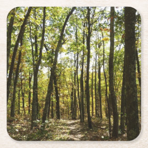 Dessous De Verre Carré Sentier des Appalaches en octobre à Shenandoah