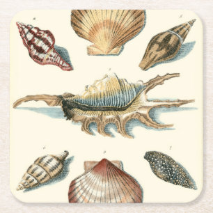 Dessous De Verre Carré Shell de fantaisie échouent