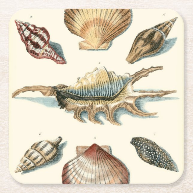 Dessous De Verre Carré Shell de fantaisie échouent (Devant)