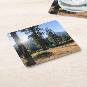 Dessous De Verre Carré Simpson Meadow - Sierra
