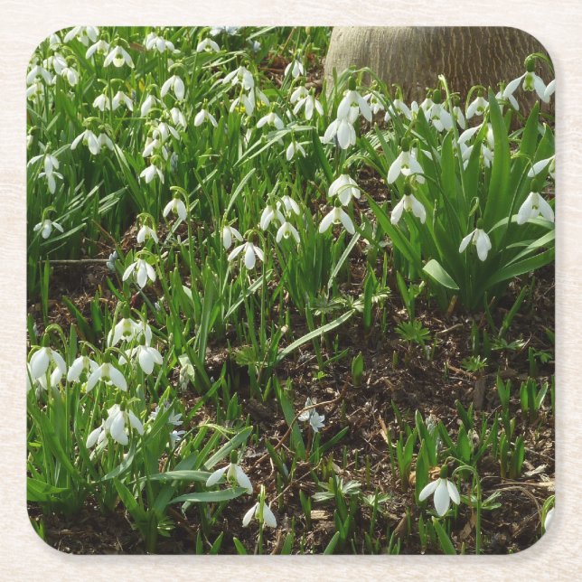 Dessous De Verre Carré Snowdrops (Devant)
