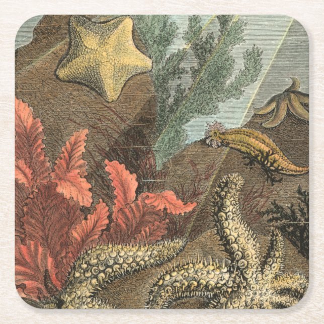 Dessous De Verre Carré Sous la mer (Devant)