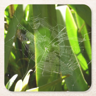 Dessous De Verre Carré Spiderweb dans Tropical Leaves Nature