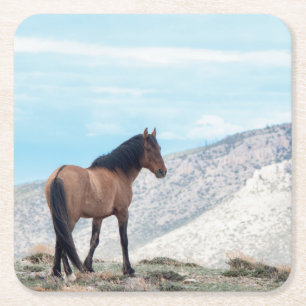 Dessous De Verre Carré Stallion Wild Mustang