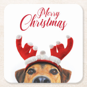 Dessous De Verre Carré Sympa Christmas Chien Reindeer Antler Headband