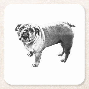 Dessous De Verre Carré Table Cheval, Stout Smile