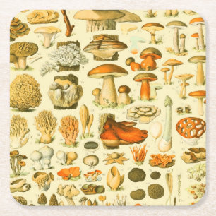 Dessous De Verre Carré Tabouret de toilette Vintage de champignons Illust