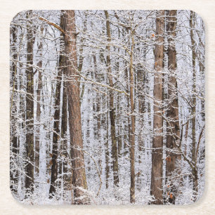 Dessous De Verre Carré Tempête glaciaire d'hiver dans la forêt