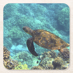 Dessous De Verre Carré tortue dans la mer