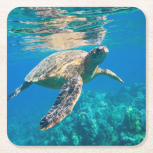 Dessous De Verre Carré Tortue de mer de natation