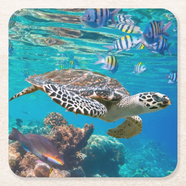Dessous De Verre Carré Tortue de mer et poisson (Devant)