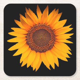 Dessous De Verre Carré Tournesol