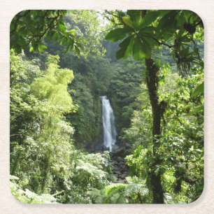 Dessous De Verre Carré Trafalgar Falls Tropical Rainforest Photographie