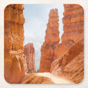 Dessous De Verre Carré Traînée de parc national de canyon de Bryce