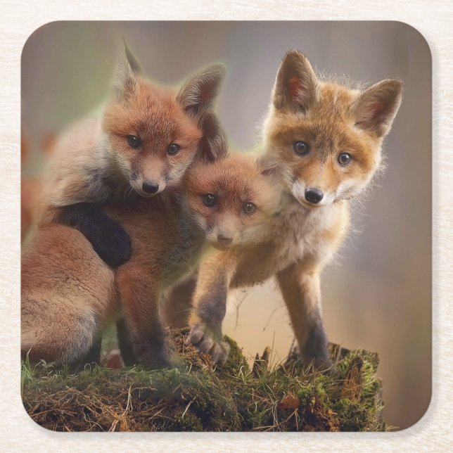 Dessous De Verre Carré Triplets Foxy (Devant)