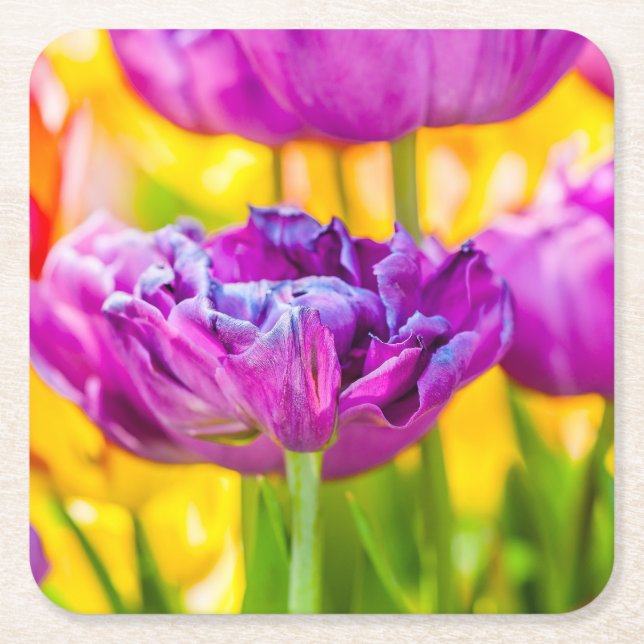 Dessous De Verre Carré Tulipes Enchantant rose foncé (Devant)