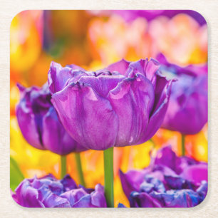 Dessous De Verre Carré Tulipes Envoûtantes Violettes