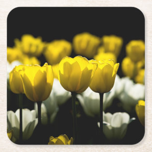 Dessous De Verre Carré Tulipes Jaune Et Blanc