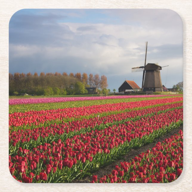 Dessous De Verre Carré Tulipes rouges et un moulin à vent (Devant)