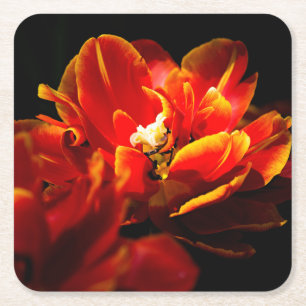 Dessous De Verre Carré Tulipes rouges sur fond sombre