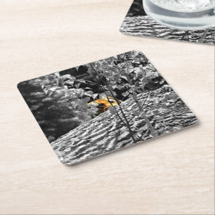 Dessous De Verre Carré Tyger Peek-a-boo Coaster