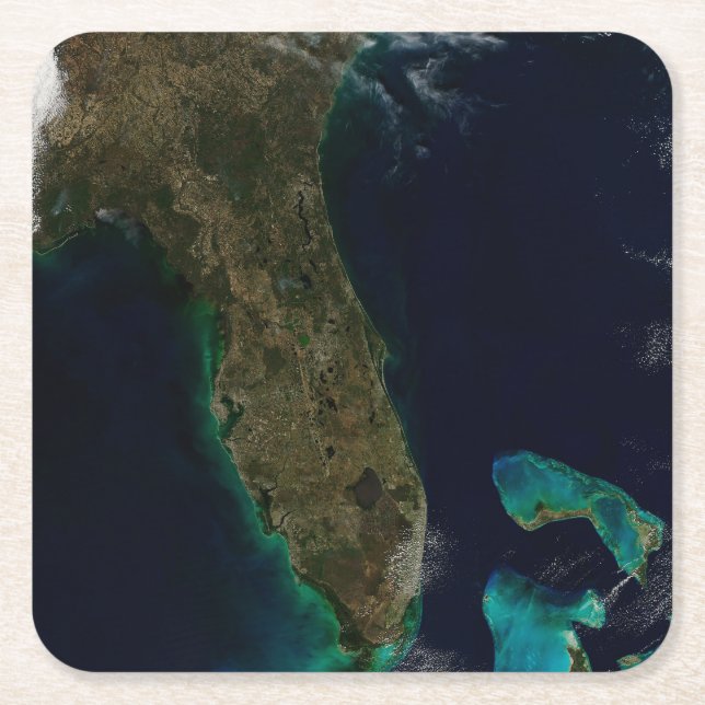 Dessous De Verre Carré Vue Satellite Sur La Floride. (Devant)