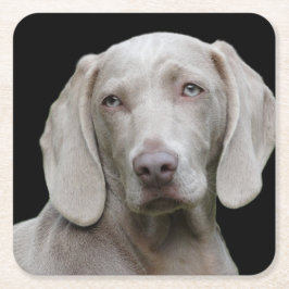 Dessous De Verre Carré Weimaraner Silver Grey