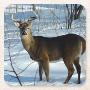 Dessous De Verre Carré Whitetail Buck Winter