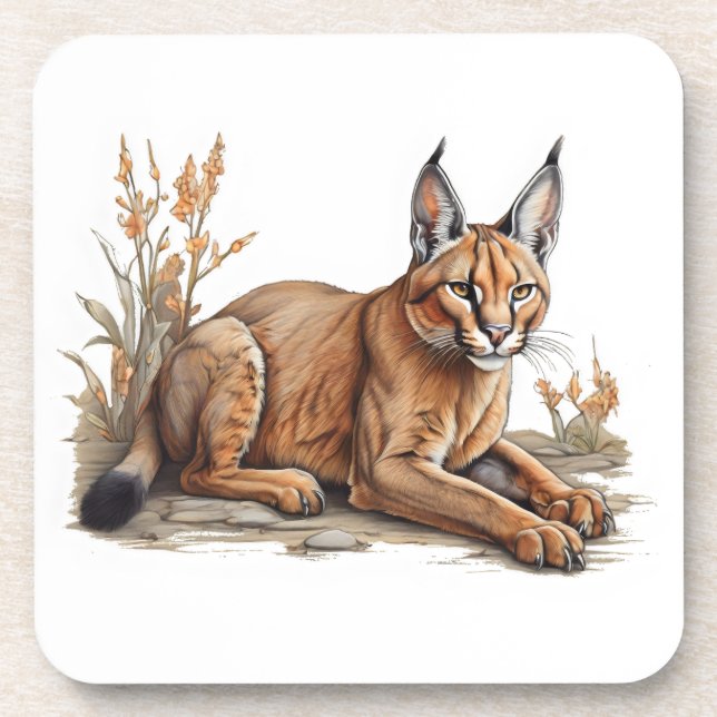 Dessous-de-verre Carte postale (Devant)