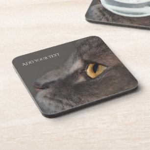 Dessous-de-verre Cat Eye-Macro par Shirley Taylor