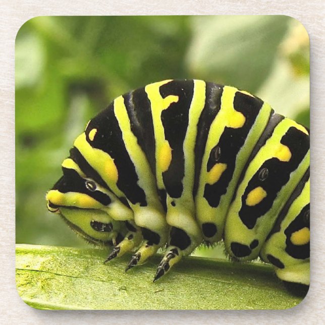 Dessous-de-verre Caterpillar noire (Devant)
