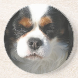 Dessous de verre cavaliers de chien d'épagneul du