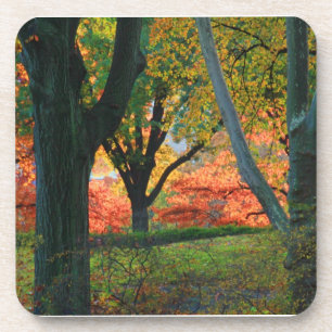 Dessous-de-verre Central Park : Arbres portant leur meilleur automn