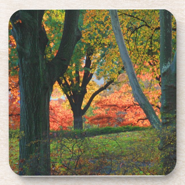 Dessous-de-verre Central Park : Arbres portant leur meilleur automn (Devant)