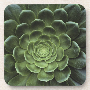 Dessous-de-verre Centre de cactus