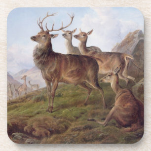 Dessous-de-verre Cerfs communs rouges dans un paysage des