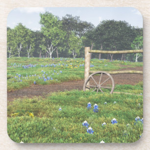 Dessous-de-verre Champ de Bluebonnets