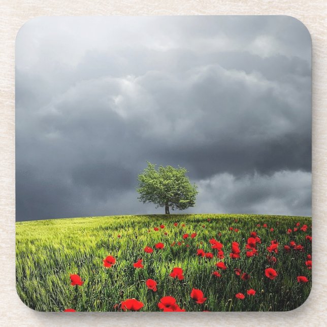 Dessous-de-verre Champ de pavot et ciel nuageux (Devant)