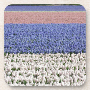 Dessous-de-verre Champ Hyacinth