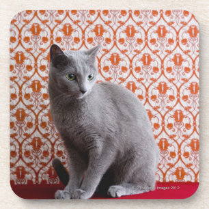 Dessous-de-verre Chat (bleu russe) et arrière - plan de papier