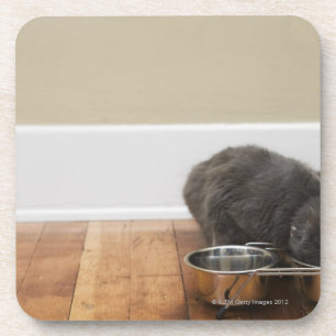 Dessous-de-verre Chat mangeant de la cuvette