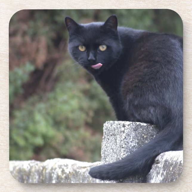 Dessous-de-verre Chat noir (Devant)