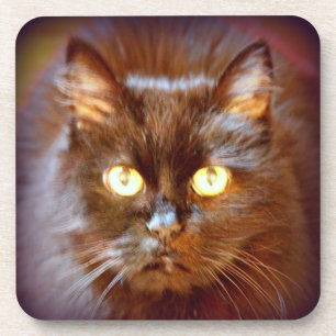 Dessous-de-verre chat noir