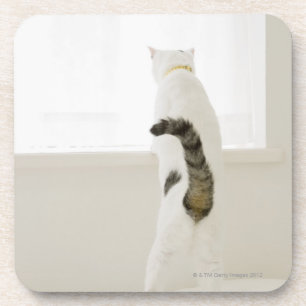 Dessous-de-verre Chat regardant la fenêtre, vue arrière