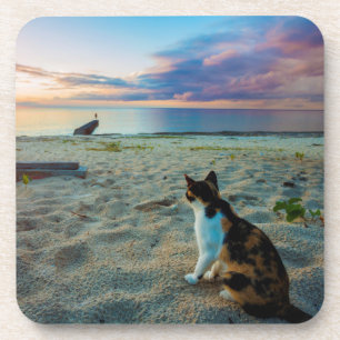 Dessous-de-verre Chat se reposant sur une plage