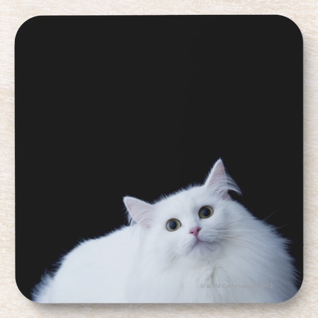Dessous-de-verre Chat sibérien (Devant)