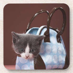 Dessous-de-verre Chaton dans le sac à main